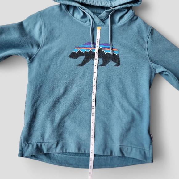 Patagonia Fitz Roy Bear Uprisal Hoodie Hooded Sweatshirt Size XS - Picture 9 of 13